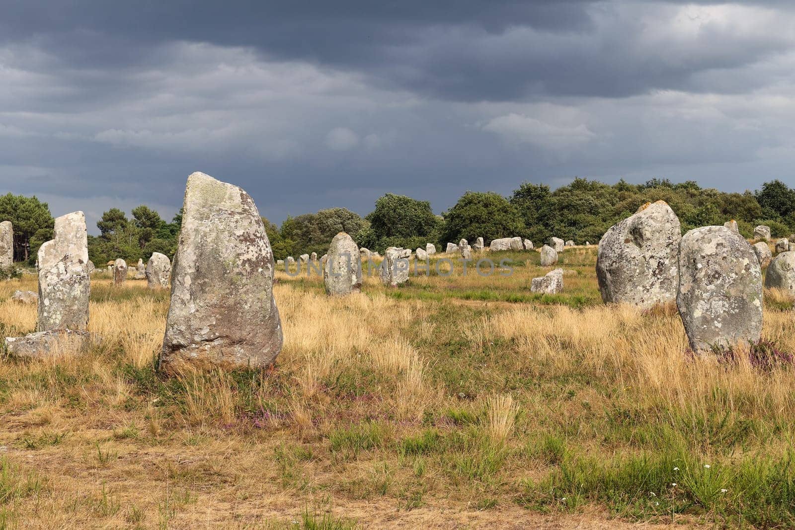Alignements du Menec - rows of Menhirs - standing stones - the largest megalithic site in the world, Carnac, Brittany, France