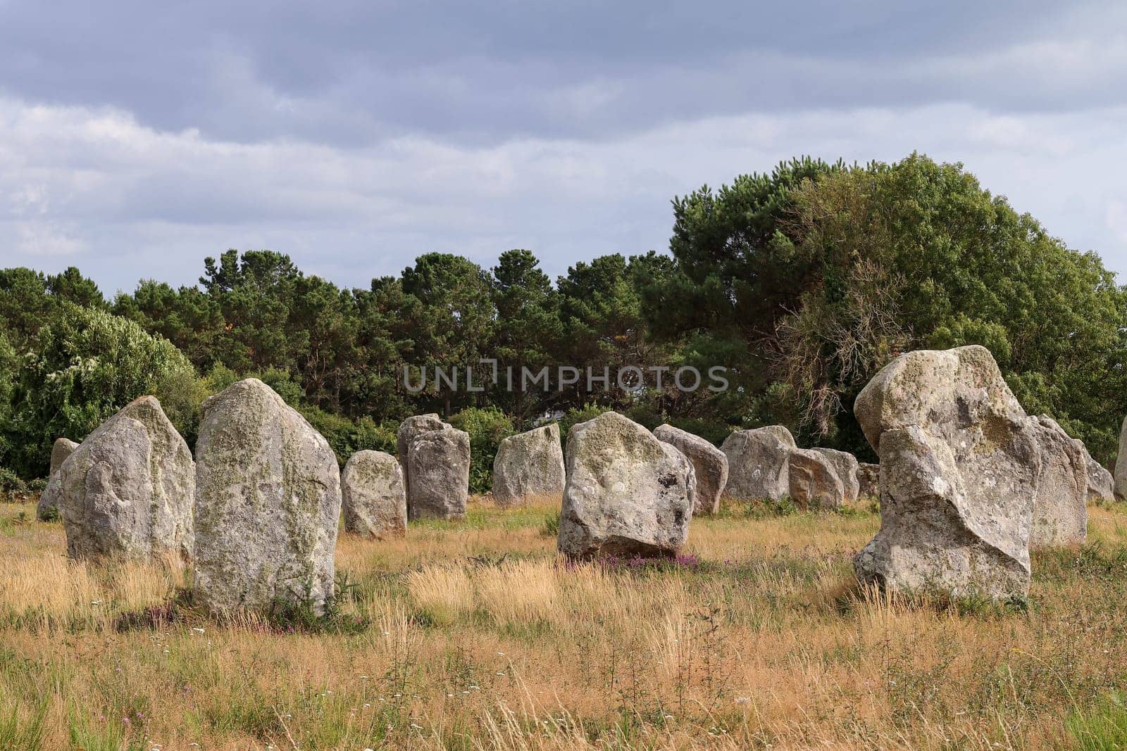Alignements du Menec - rows of Menhirs - standing stones - the largest megalithic site in the world, Carnac, Brittany, France.