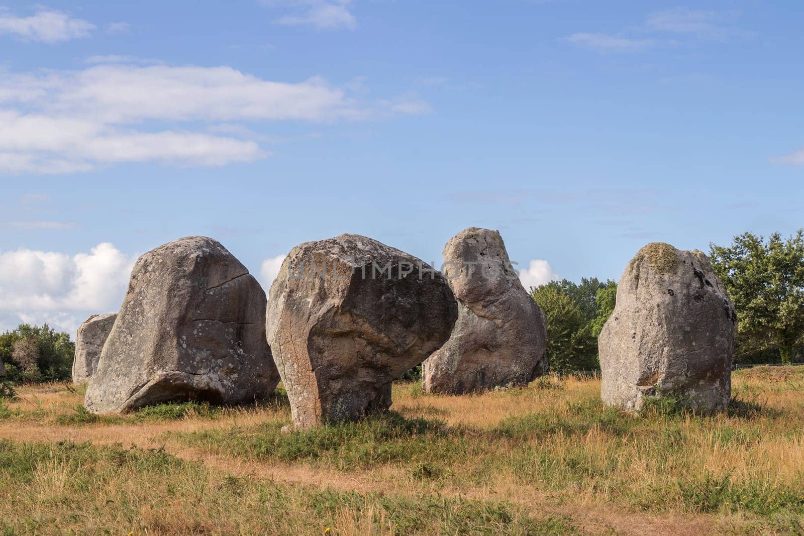 Alignements de Kermario, rows of standing stones - Menhirs, the largest megalithic site in the world, Carnac, Brittany, France.
