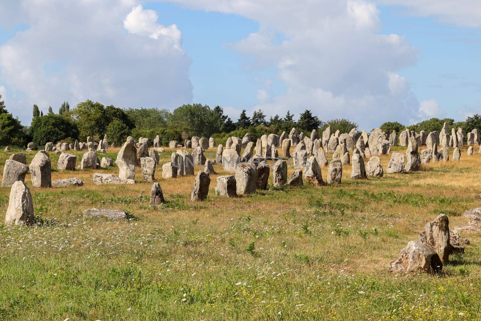 Alignements de Kermario, rows of standing stones - Menhirs, the largest megalithic site in the world, Carnac, Brittany, France.