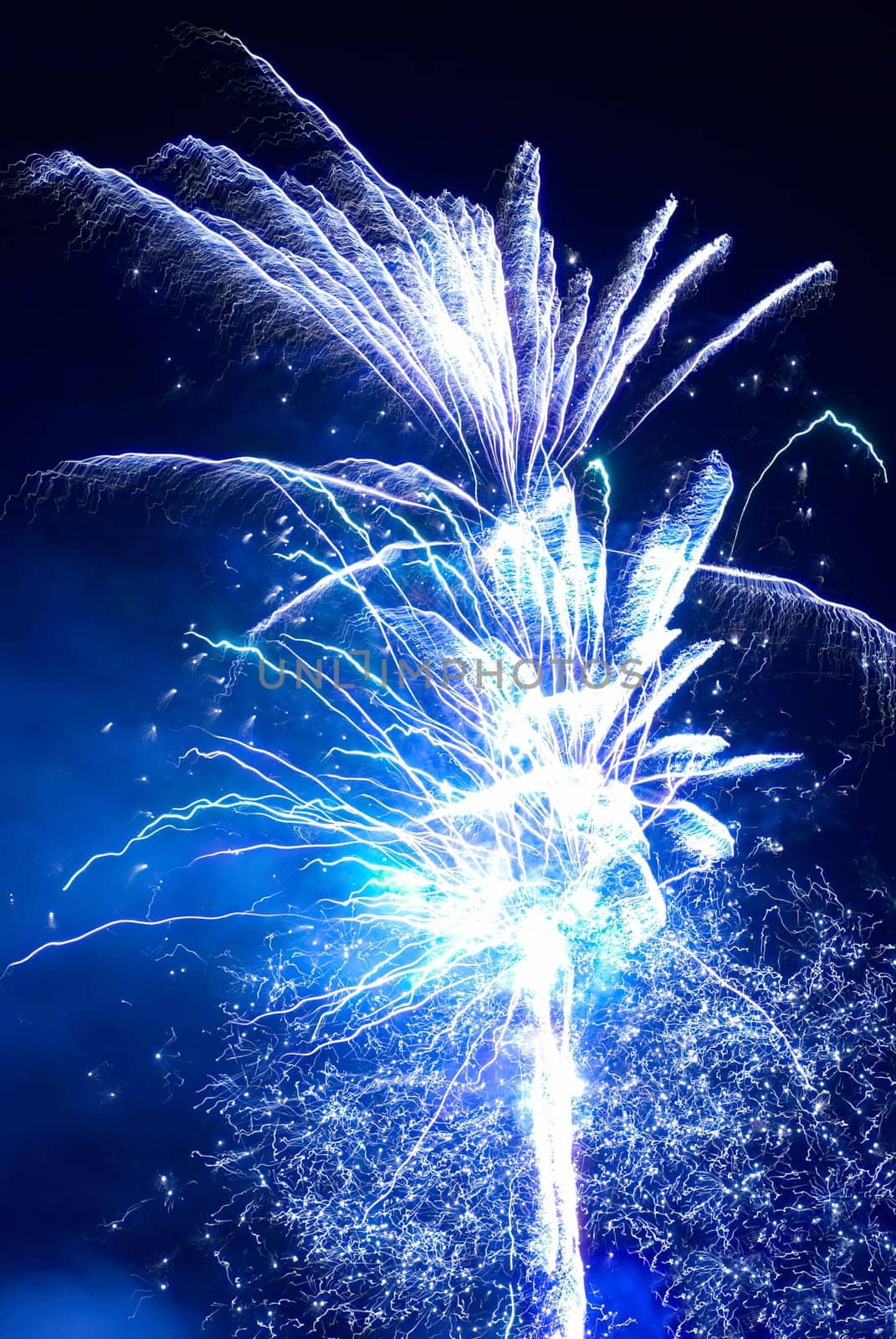 Colorful fireworks on the black sky background