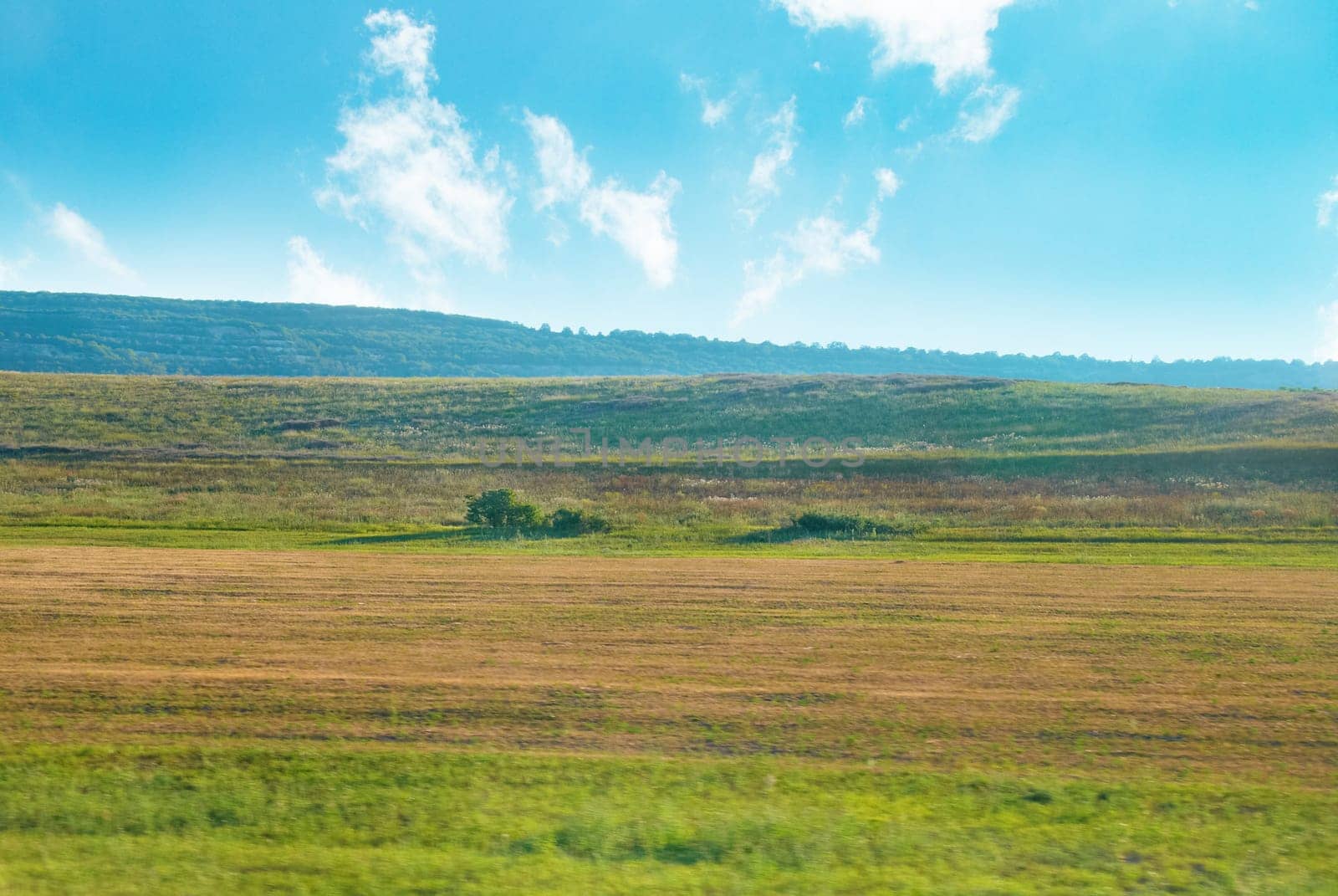 Green field with grass and blue beautiful cloudy sky