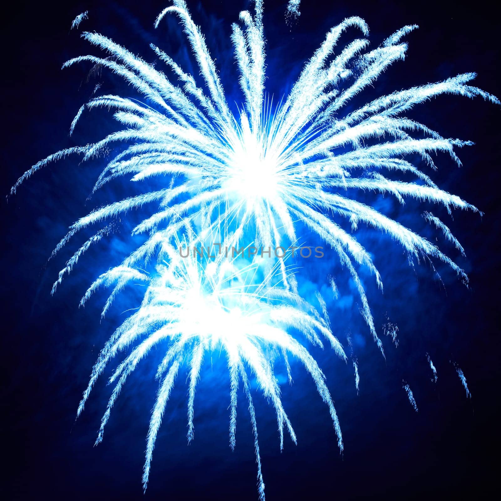 Blue colorful fireworks on the black sky background