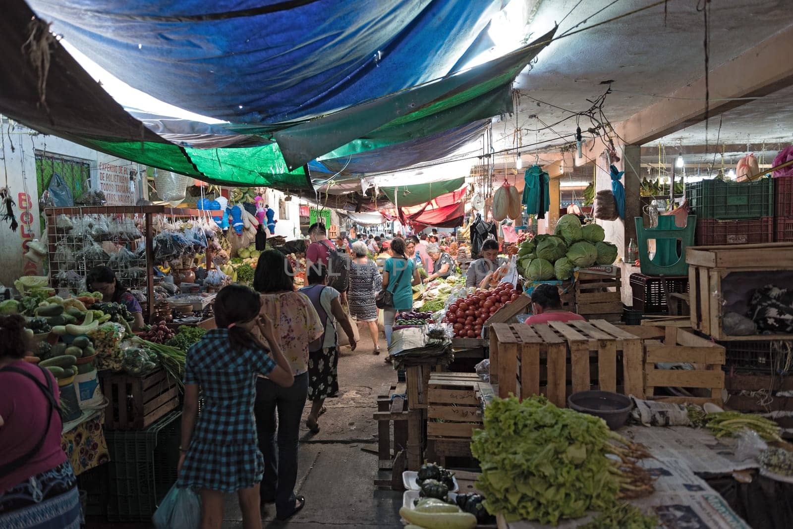 fruit and vegetable stalls in the market hall of campeche mexico
