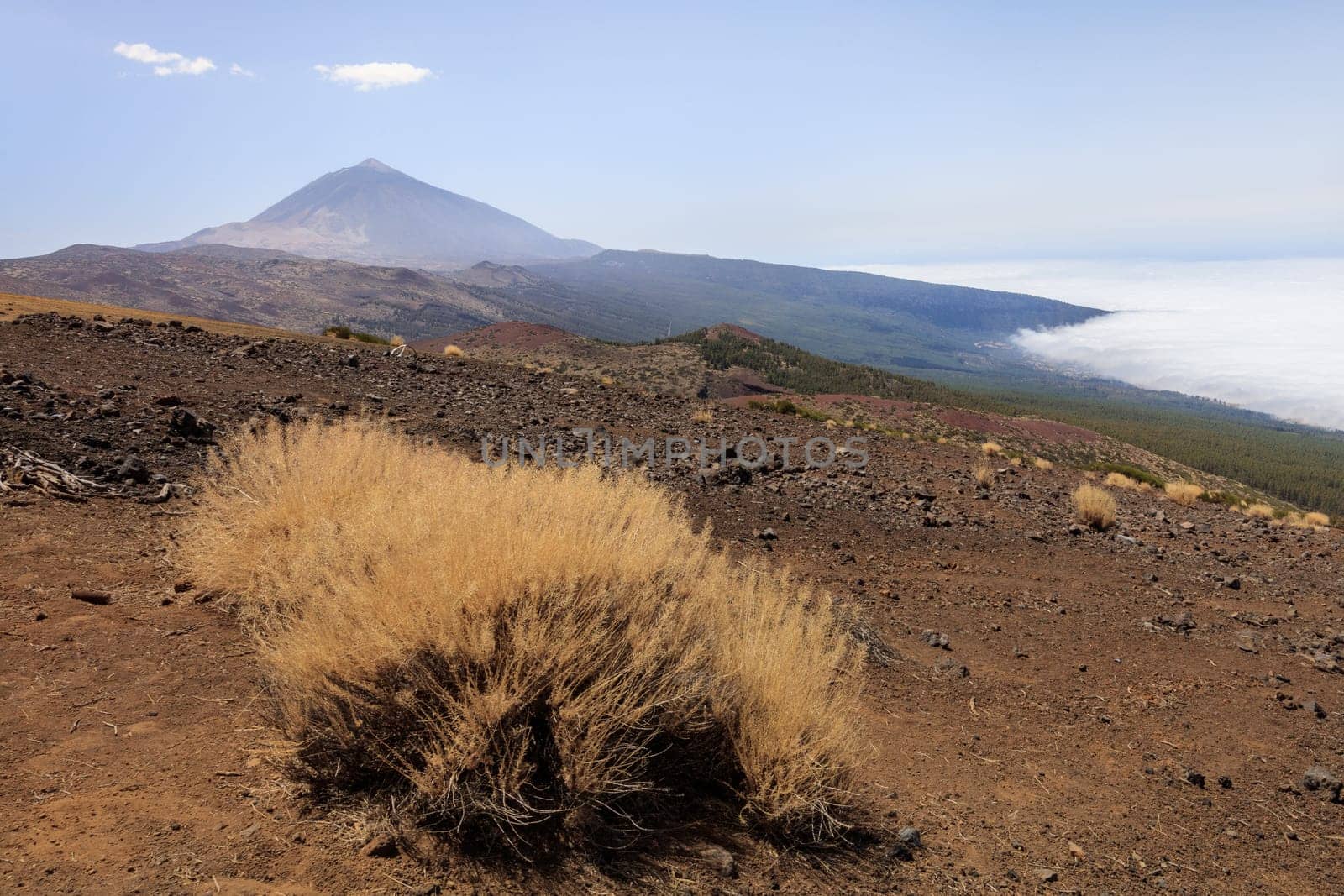 view of Mount Teide in Teide national park. Tenerife