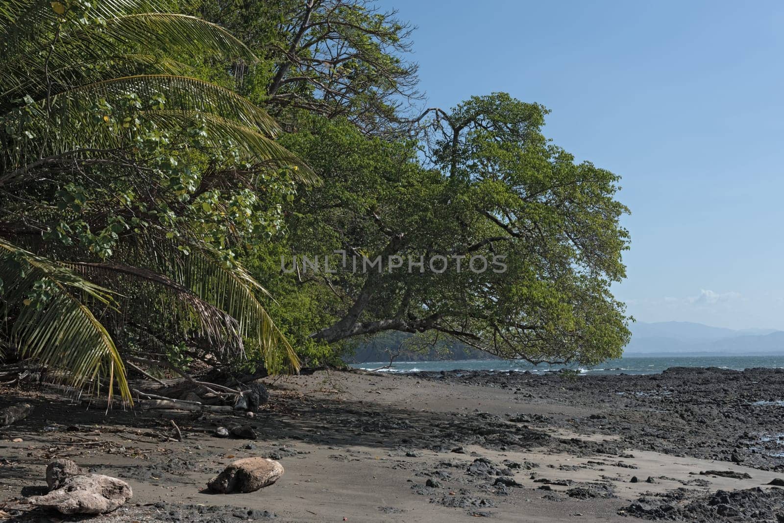 beautiful sandy beach on the island cebaco panama