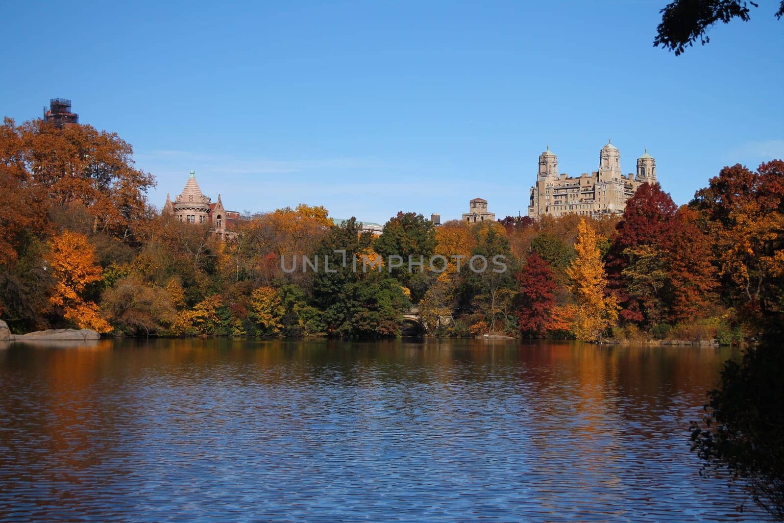Fall and foliage in Central Park