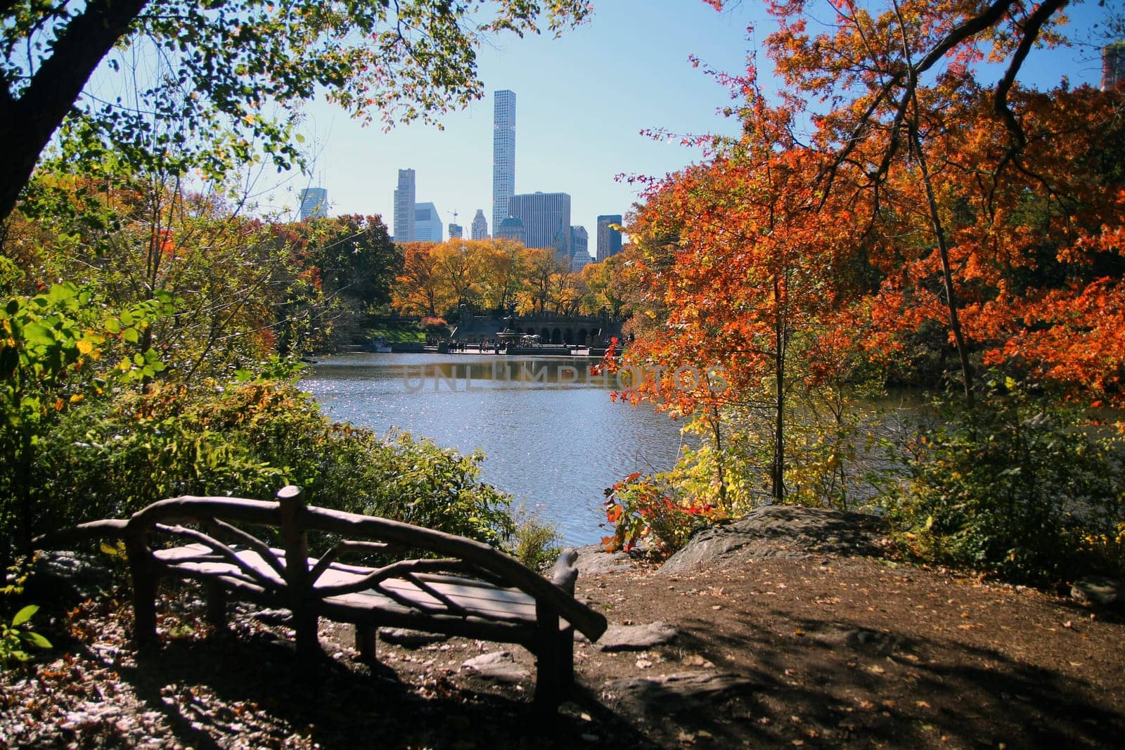 Fall and foliage in Central Park