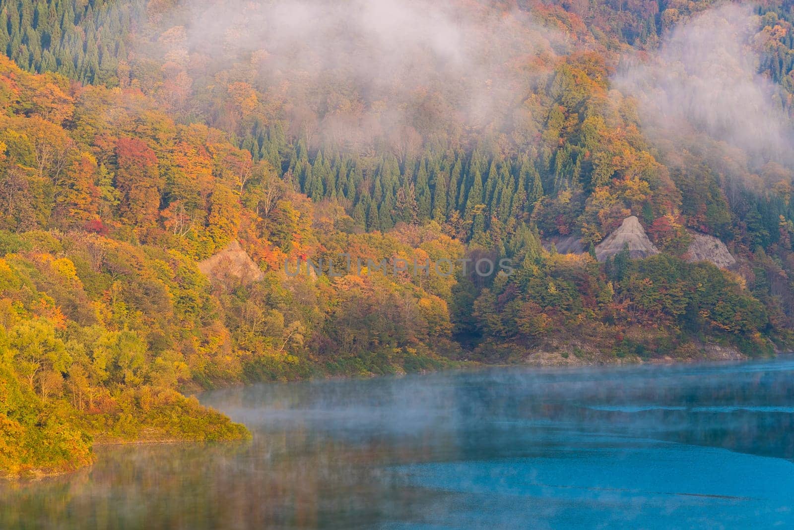 Morning Mist with Autumn Fall Lake and Forest at Tamagawa Dam in Akita Tohoku Japan