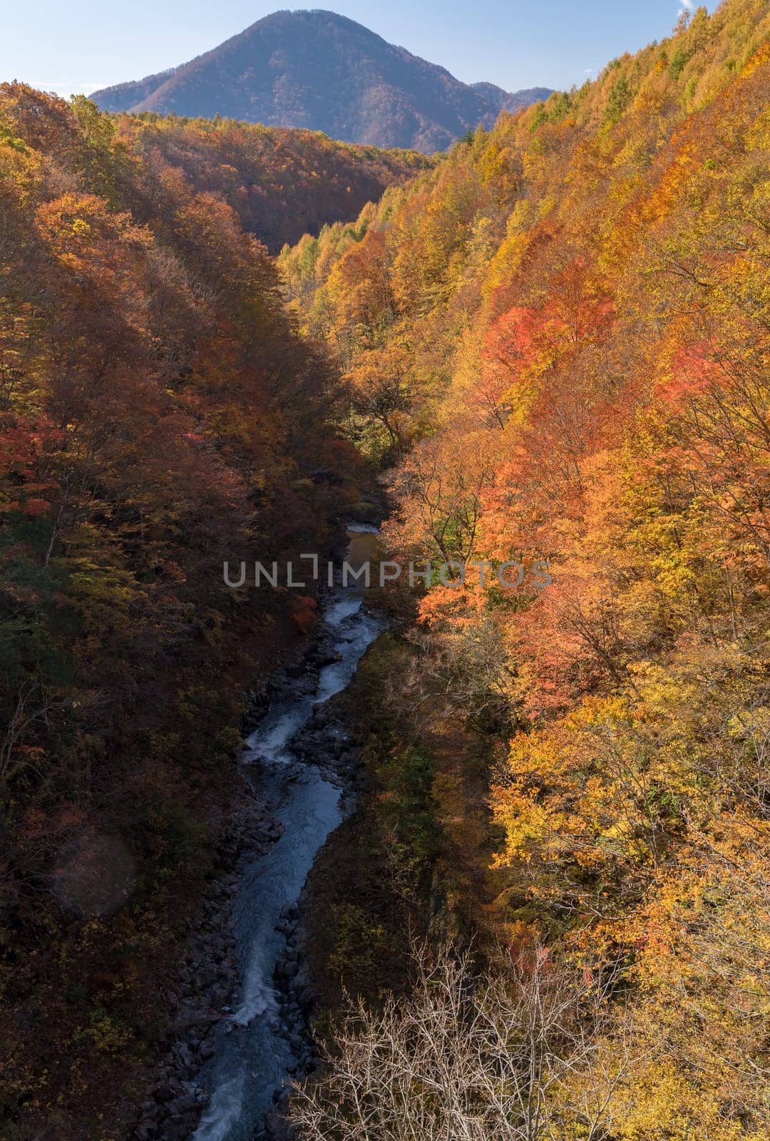 Nakatsugawa gorge from bridge at Fukushima in autumn fall Japan