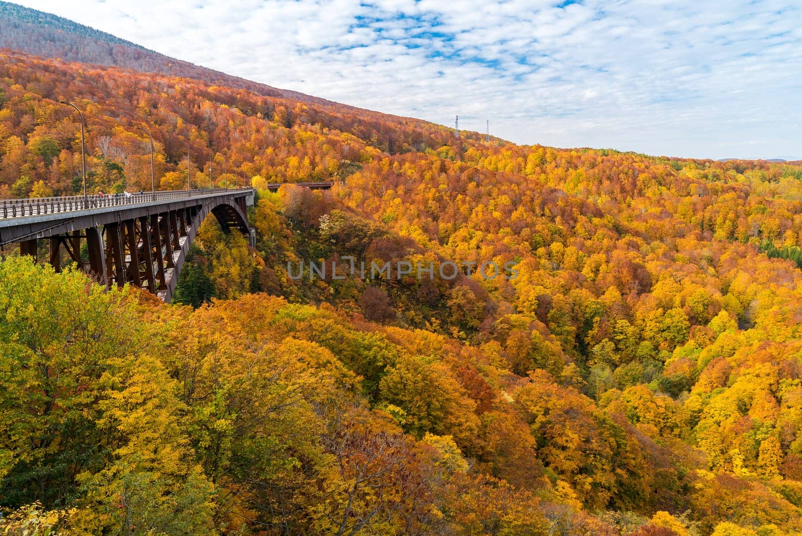 Autumn Fall Landscape of Forest and woods with Jogakura Ohashi Bridge in Aomori Tohoku Japan