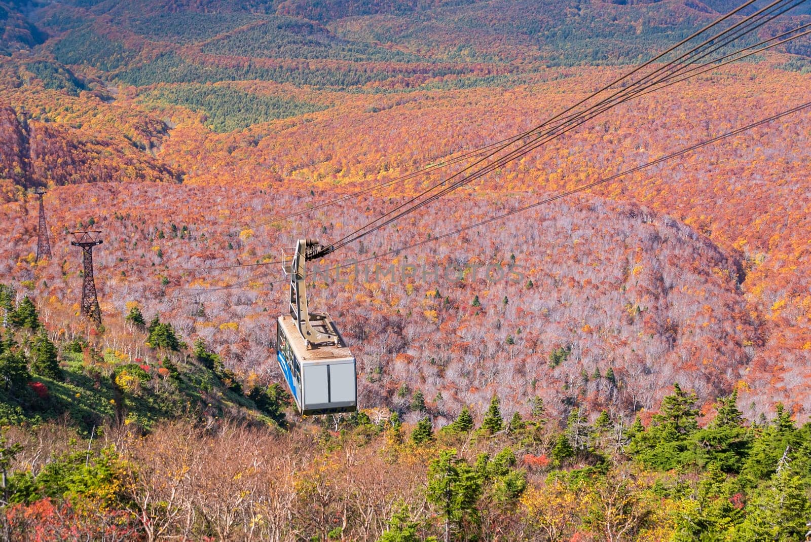 Aerial view of red leaf autumn fall season for Forest wodland From Hakkoda Mountain with Hakkoda Ropeway in Aomori Tohoku Japan