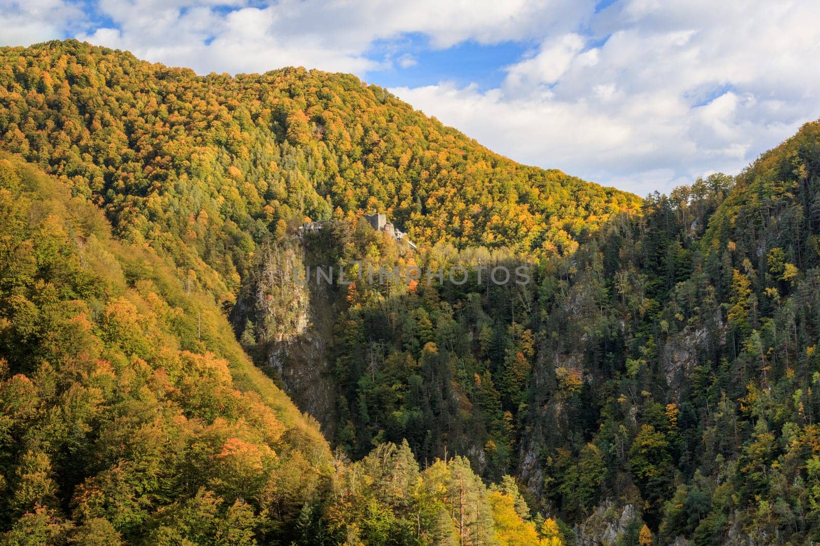 ruined Poenari fortress on Mount Cetatea in Romania