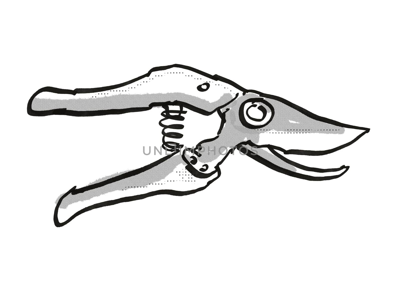 Retro cartoon style drawing of a Pruning shear also called hand pruners or secateurs, a garden or gardening tool equipment on isolated white background done in black and white