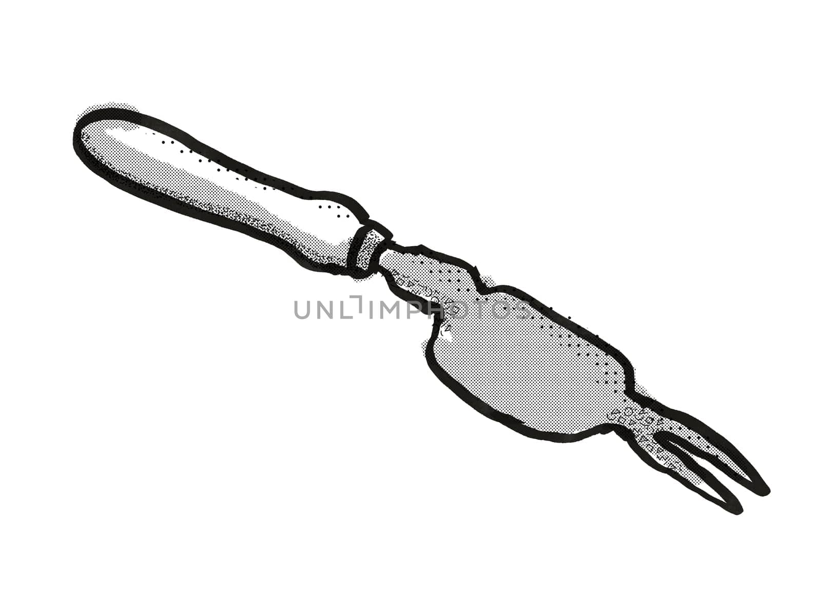 Retro cartoon style drawing of a Weed Popper or hand weeder , a garden or gardening tool equipment on isolated white background done in black and white
