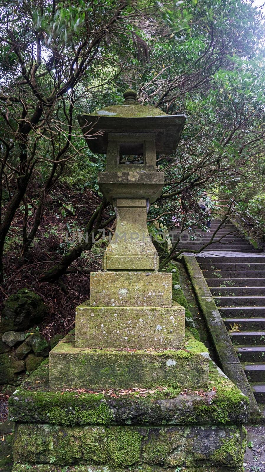 japanese stone lantern stone stairs foliage ancient