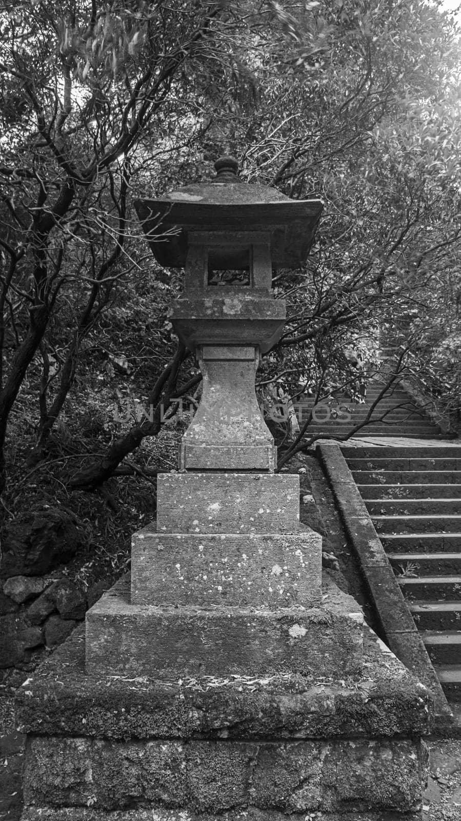 japanese stone lantern stone stairs foliage ancient black white