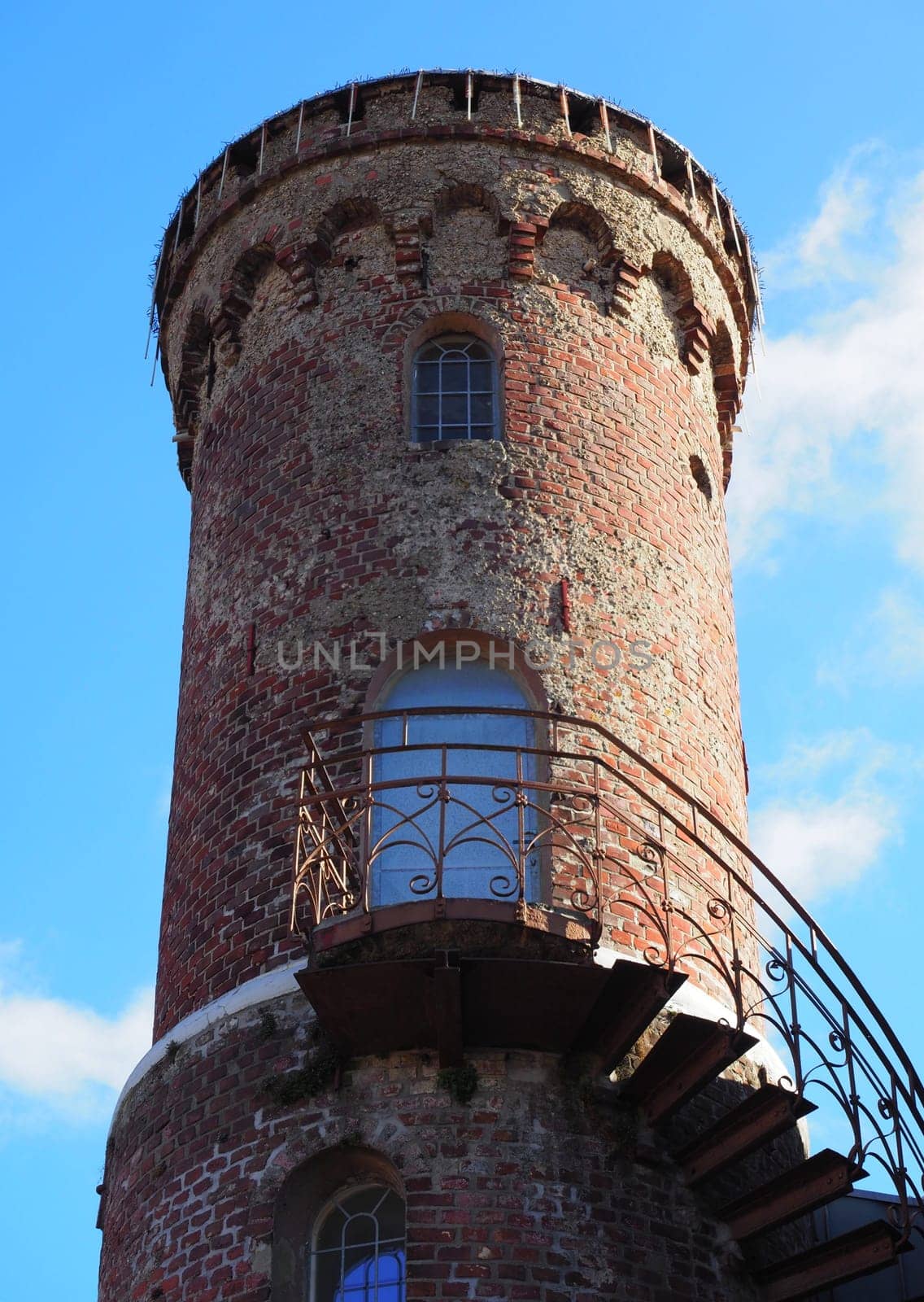 Bear tower
