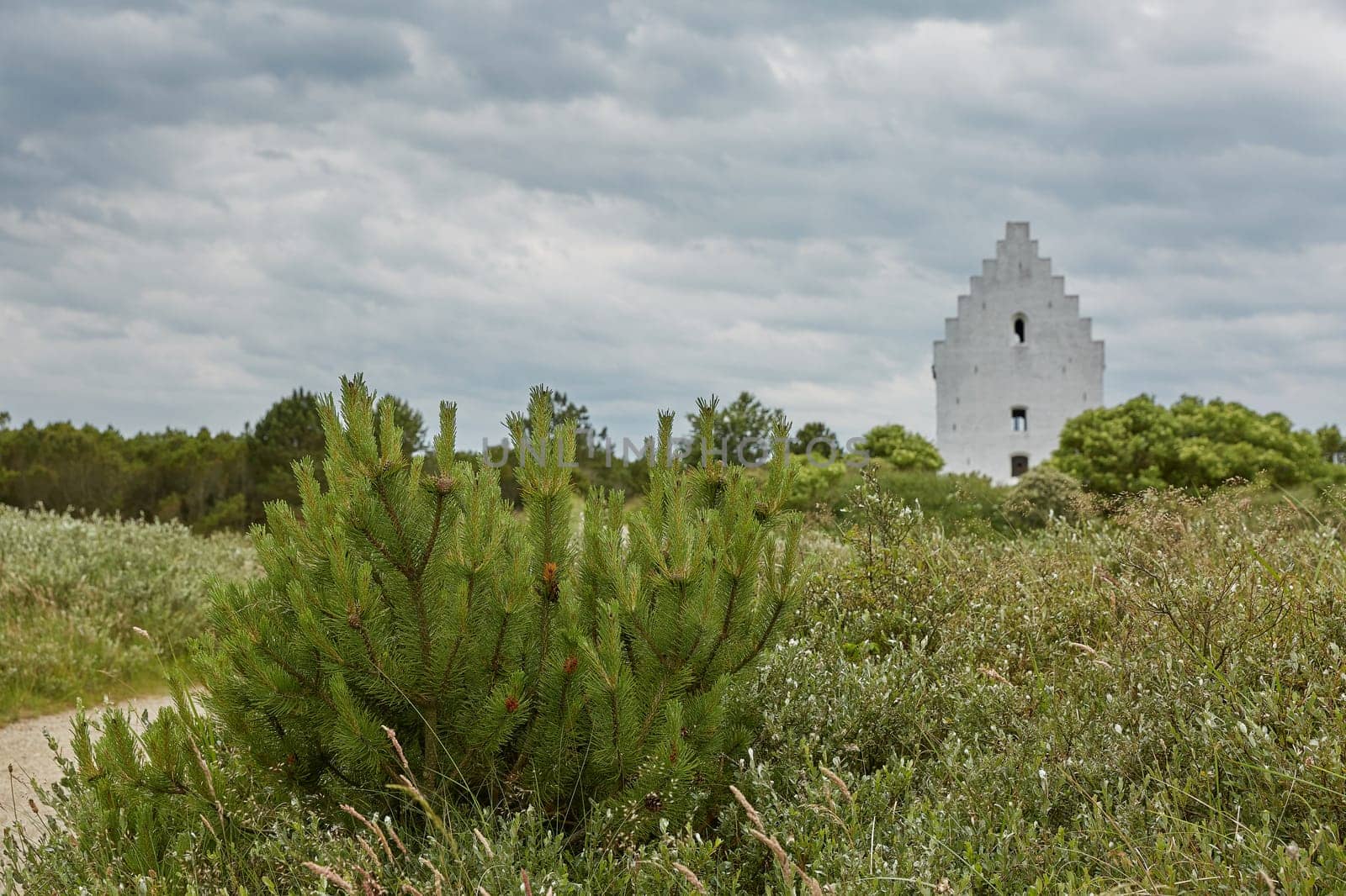 Den Tilsandede Kirke, also known as The Buried Church or The Sand-Covered Church near Skagen Denmark.