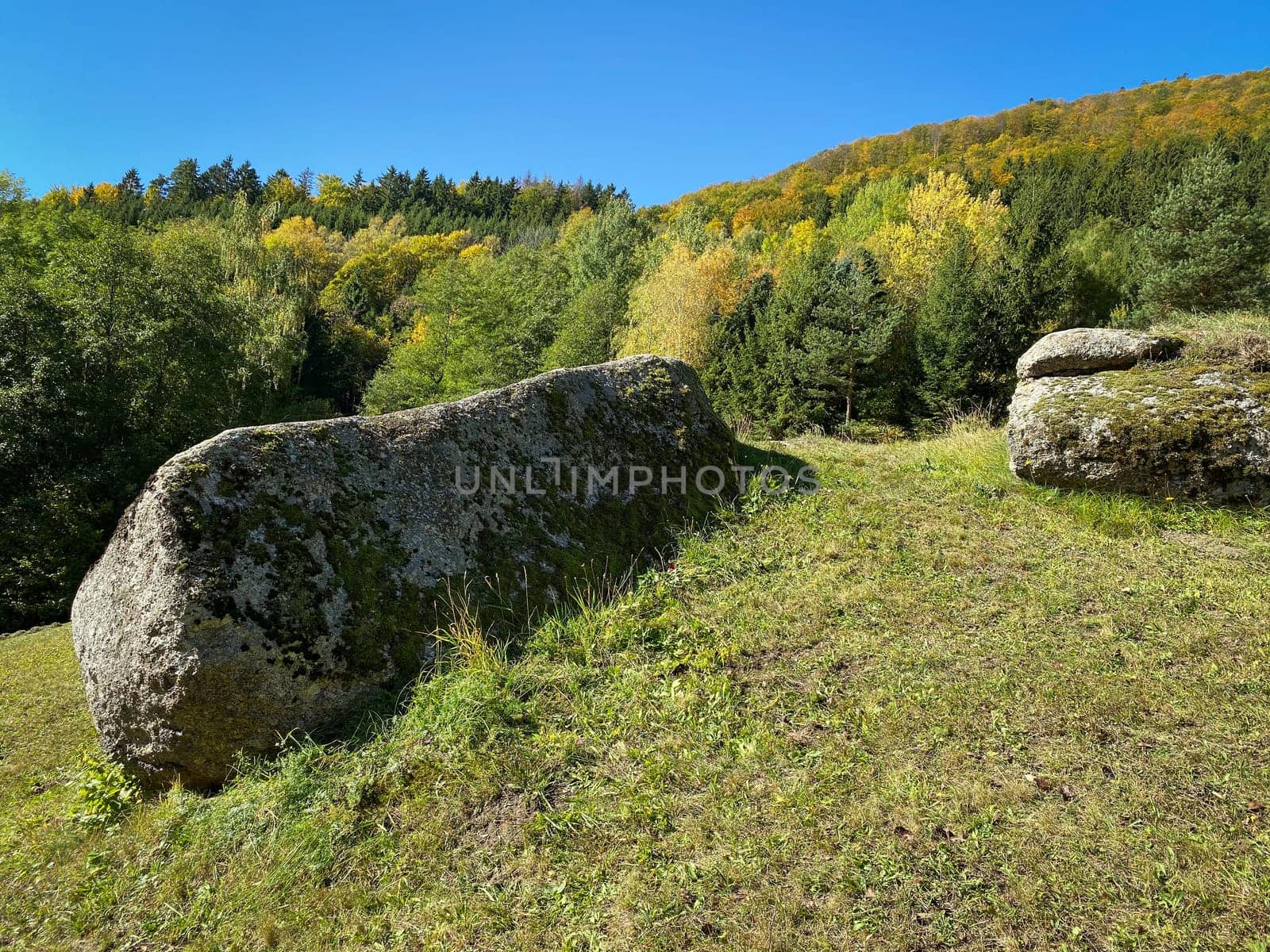 Landscape Autumn, meadow and forest in the color of october