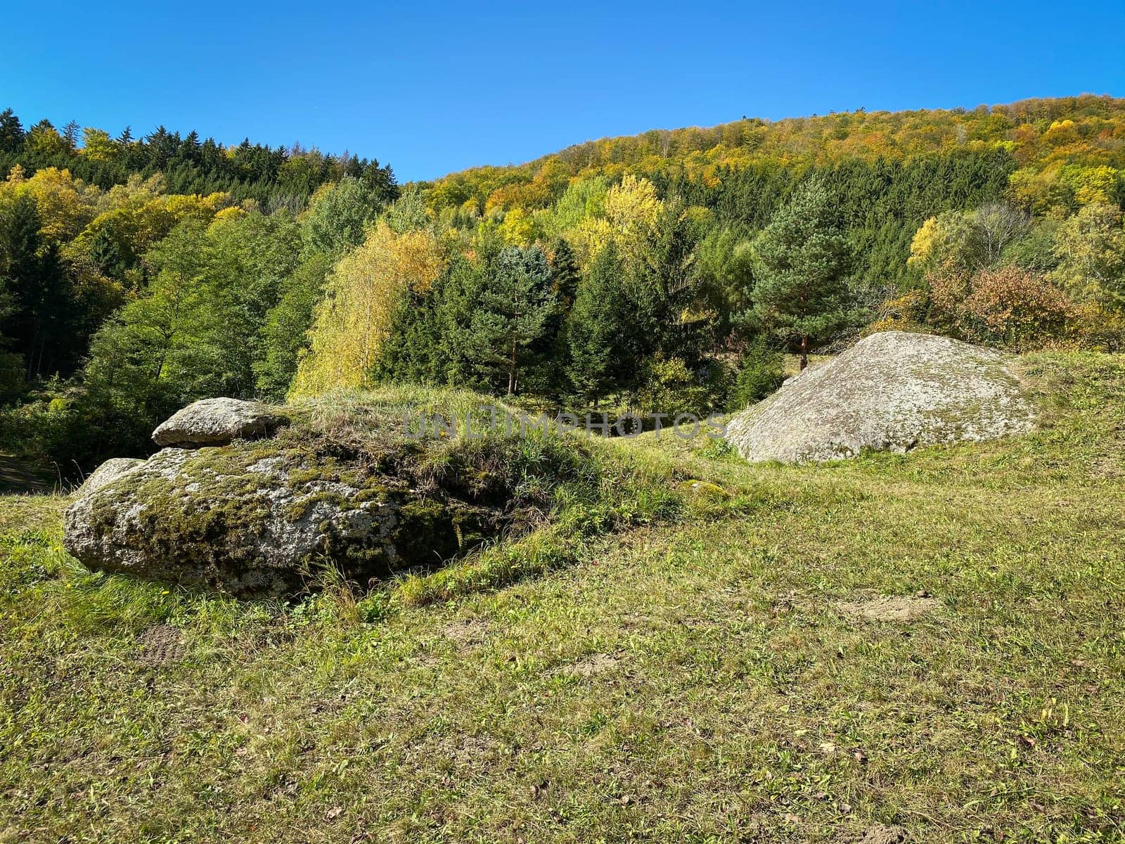 Landscape Autumn, meadow and forest in the color of october