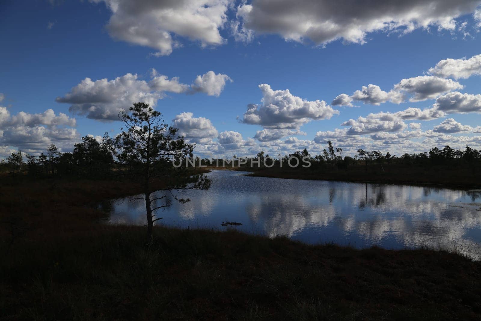 swamp autumn National Park Kemeri Latvia landscapes
