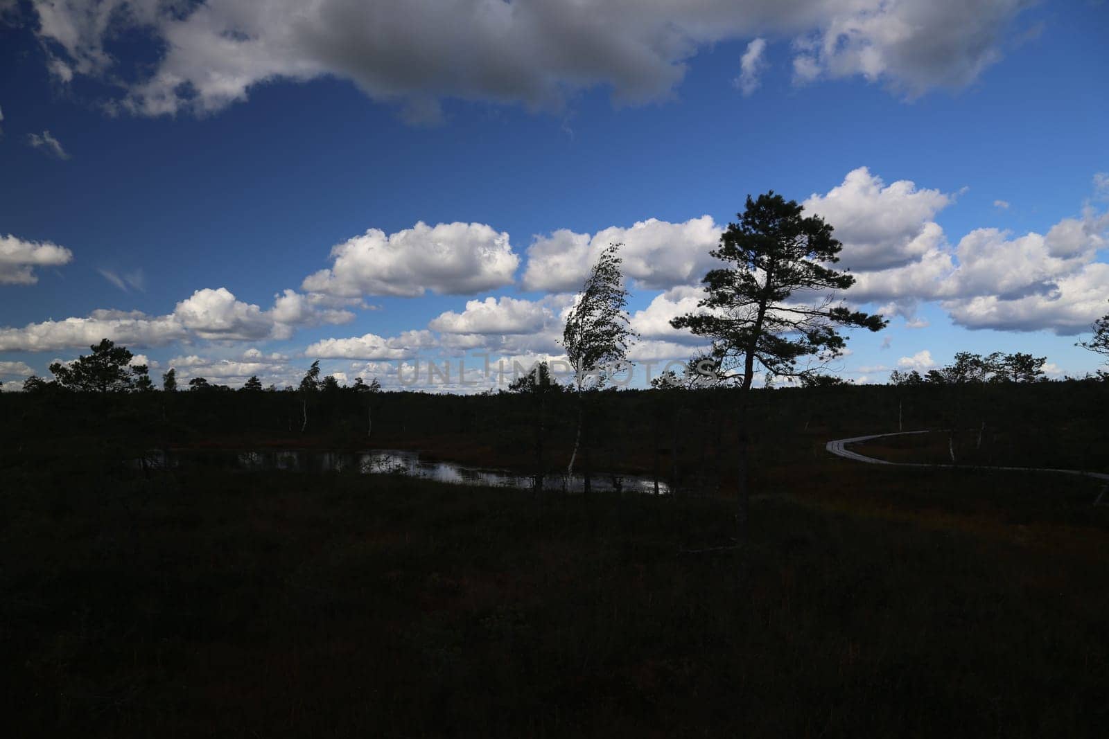 swamp autumn National Park Kemeri Latvia landscapes