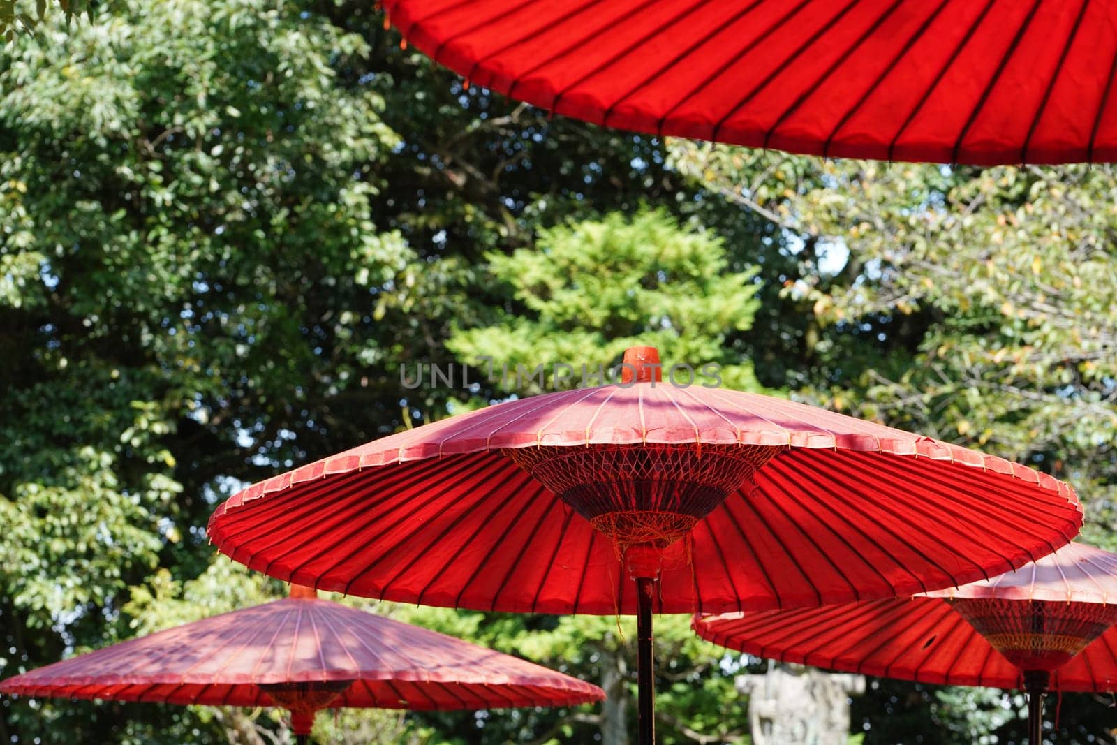 Red umbrella and used in Japanese matcha tea ceremony