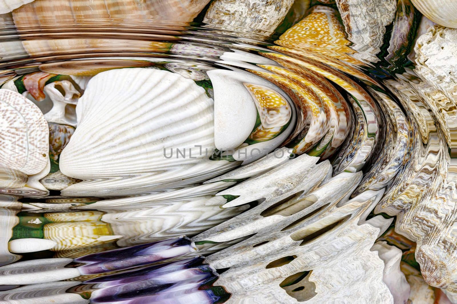 Water ripples above sea shells - digitally altered