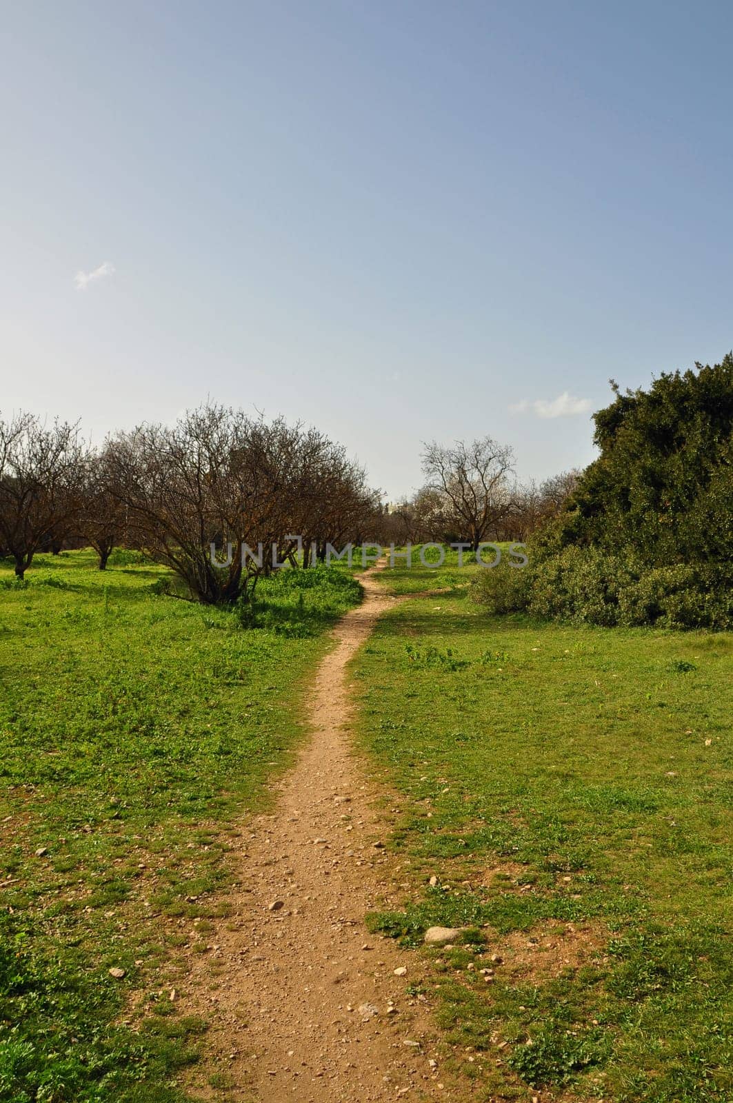 Crooked trail footpath through park. Green grass and blue sky landscape.