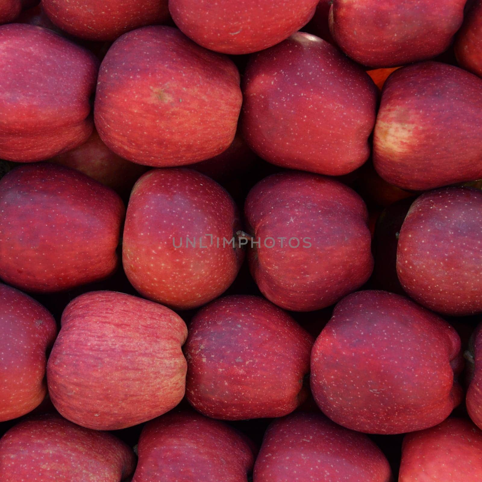 Pile of red apples fresh fruit background texture.