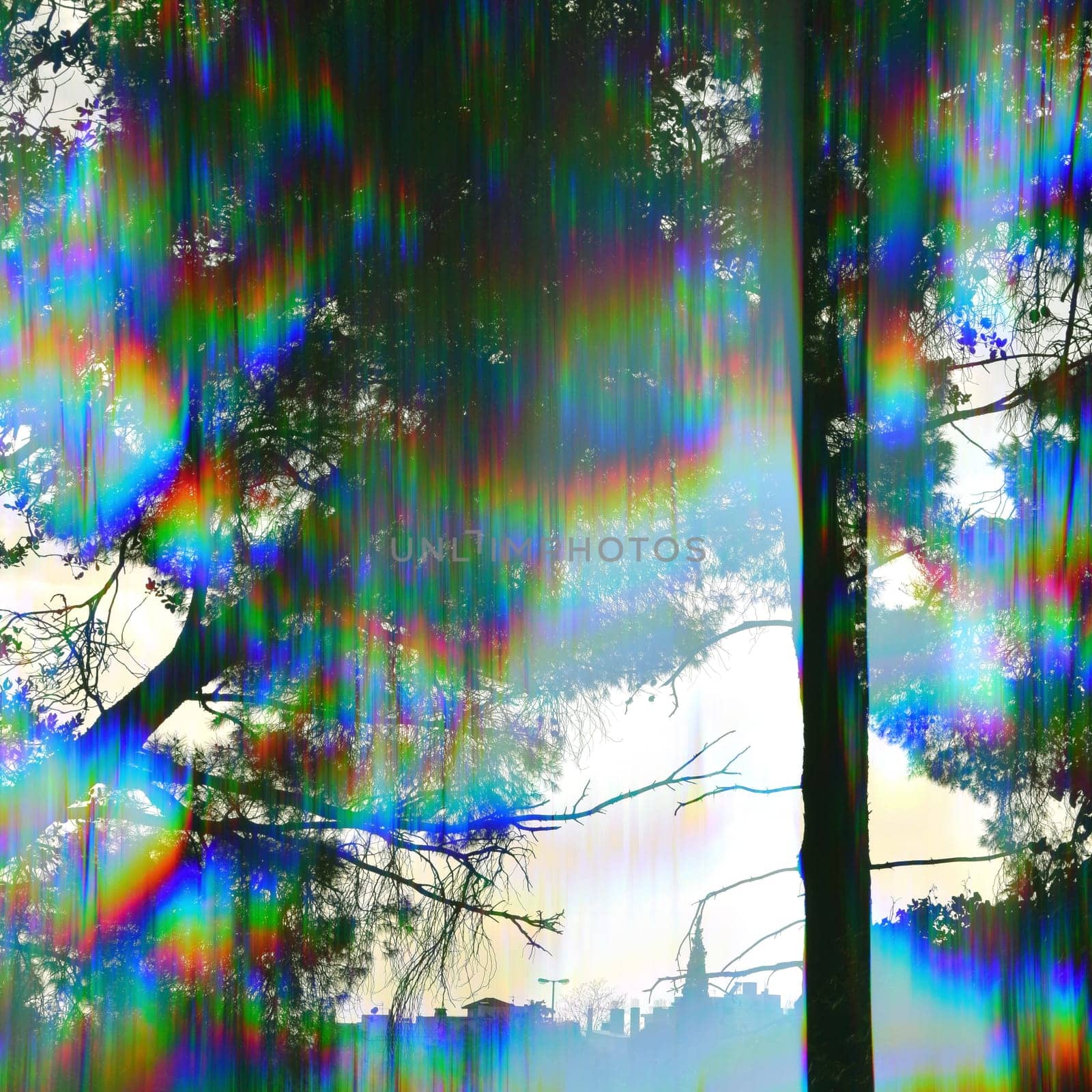 Trees silhouette and distant city buildings through vintage prism filter abstract colorful light rays.