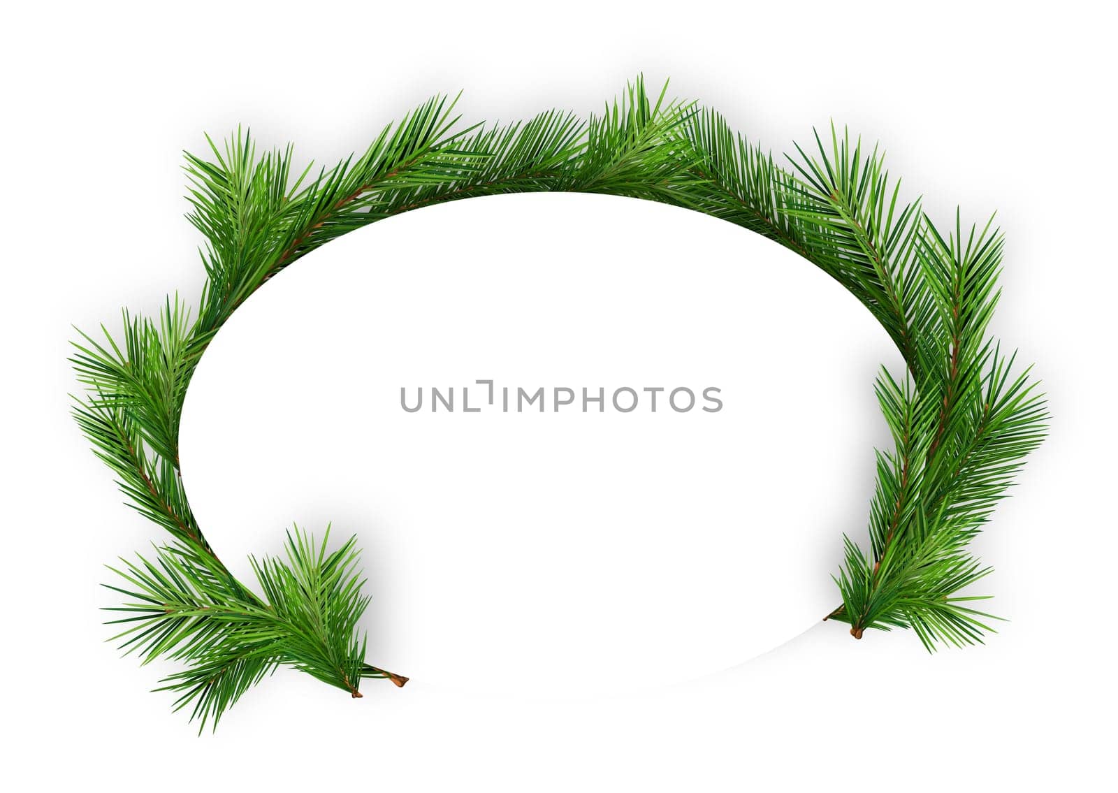Christmas Oval Frame with Coniferous Twigs on White Background - Abstract  Illustration, Vector