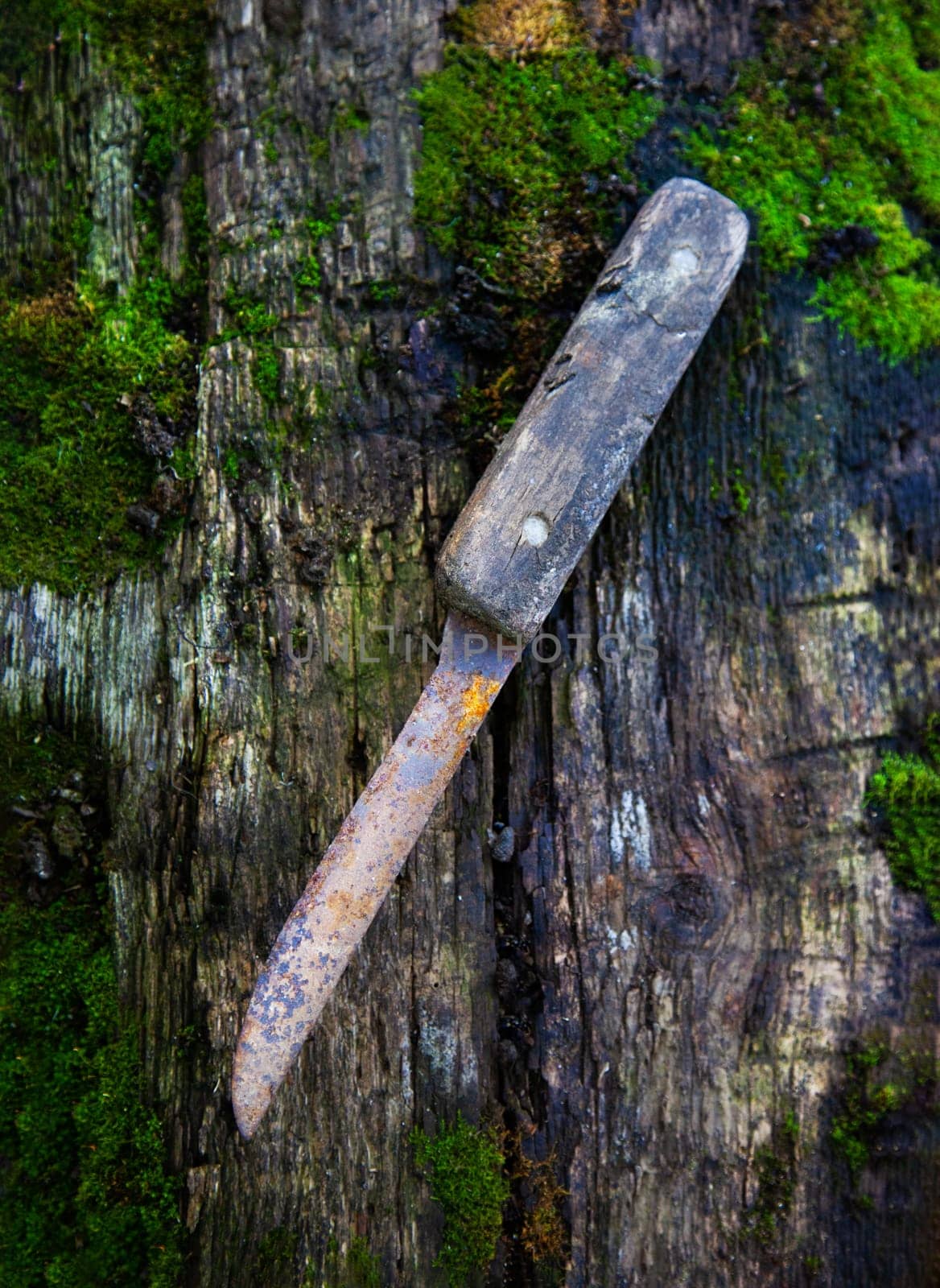 Old rusty knife on a wooden board covered with moss. Close up