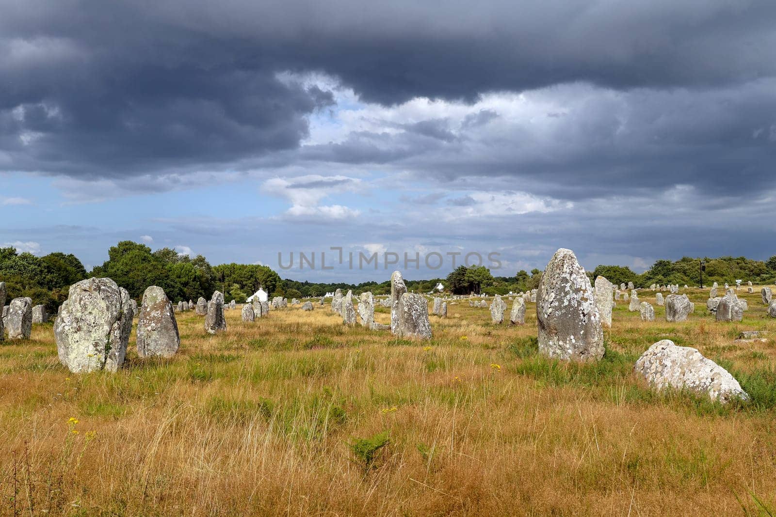 Alignements du Menec - rows of Menhirs - standing stones - the largest megalithic site in the world, Carnac, Brittany, France.