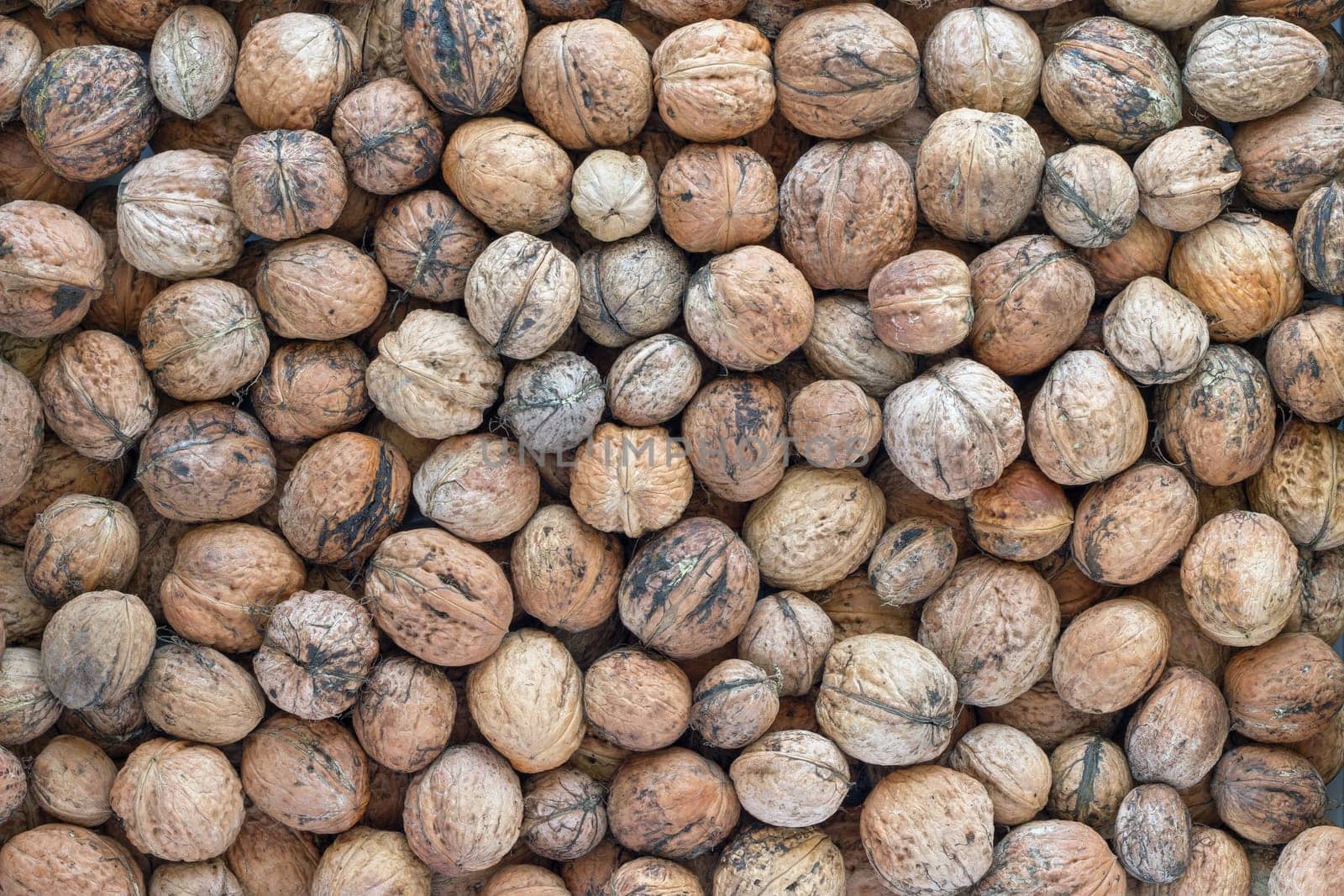 Heap of walnuts - autumn fruits
