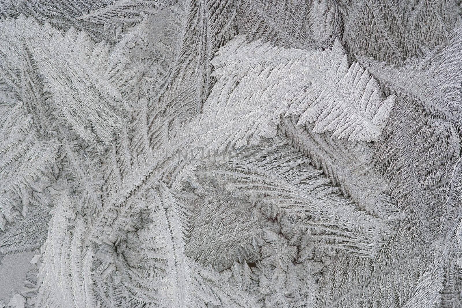 Abstract detail of the frost flower on the window