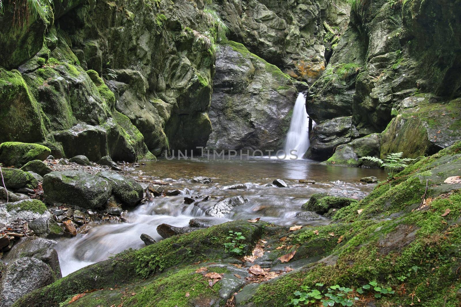 Nyznerov waterfalls or also Silver Creek Falls on the Siver brook in Czech Republic. It is a canyon gorge with rocky thresholds can generate several waterfalls and cascades. Nyznerov, Czech Republic.