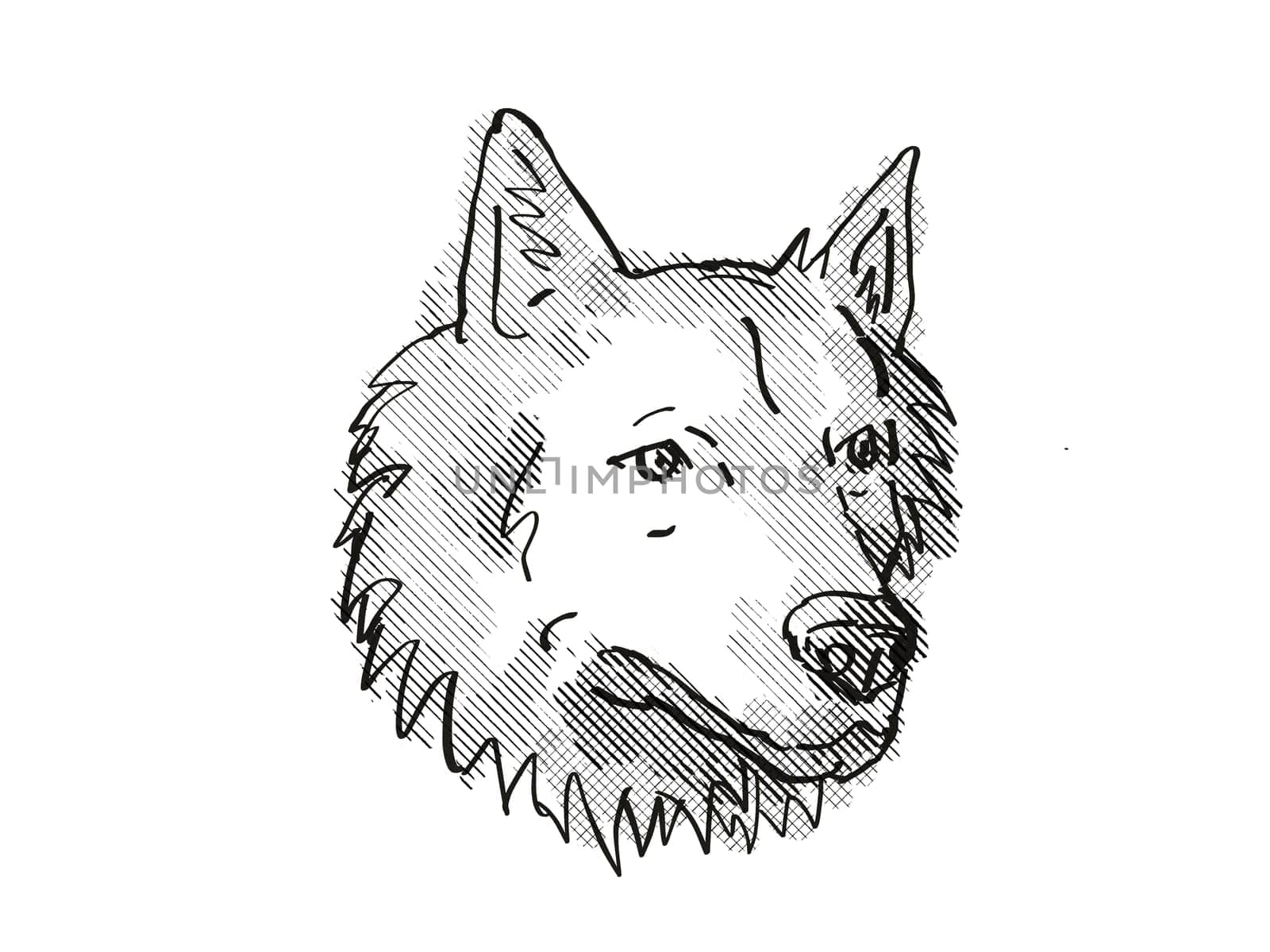 Retro cartoon style drawing of head of a Harrier Dog, a domestic canine breed on isolated white background done in black and white.