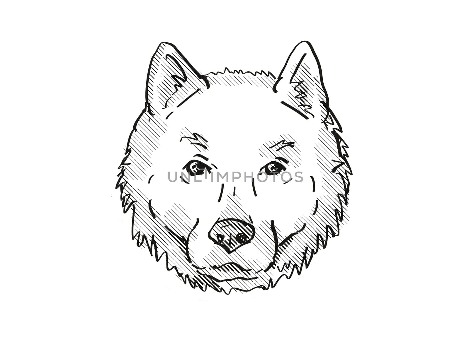 Retro cartoon style drawing of head of a Harrier Dog, a domestic canine breed on isolated white background done in black and white.