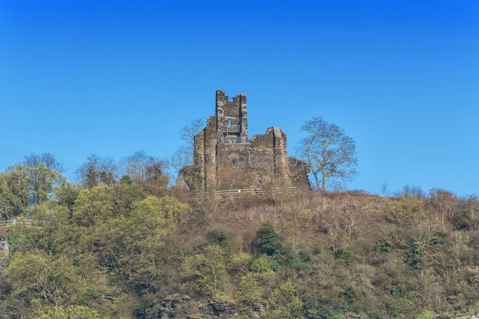 Old ruin on the Moselle in the vineyards of Germany's best vineyard.