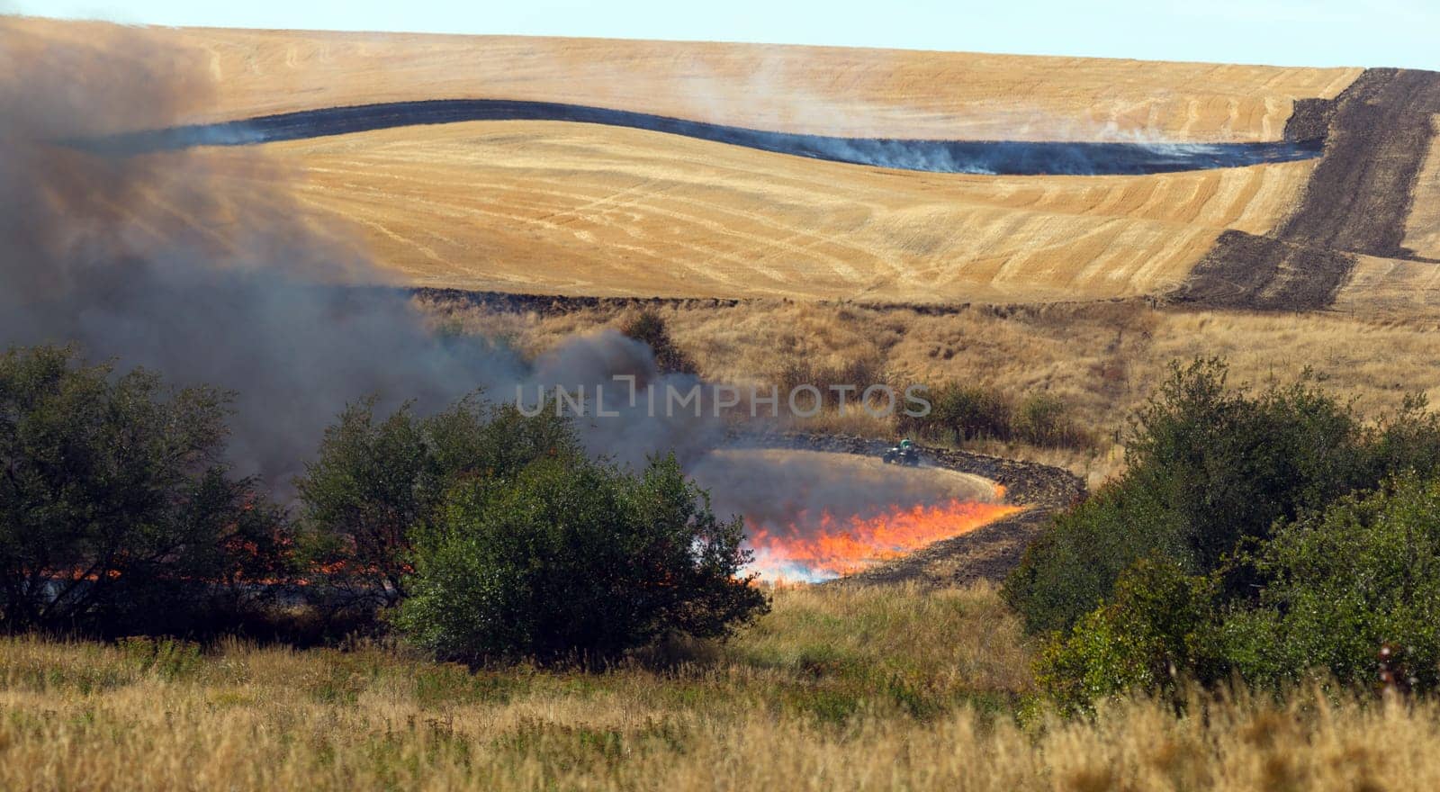 Farmers do a controlled burn before plowing after harvest