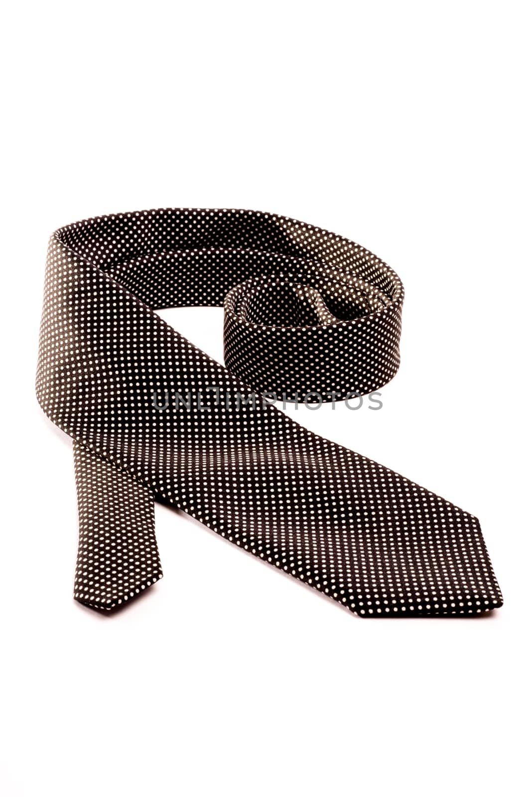 A black tie with white dots rolled out on a white isolated background.