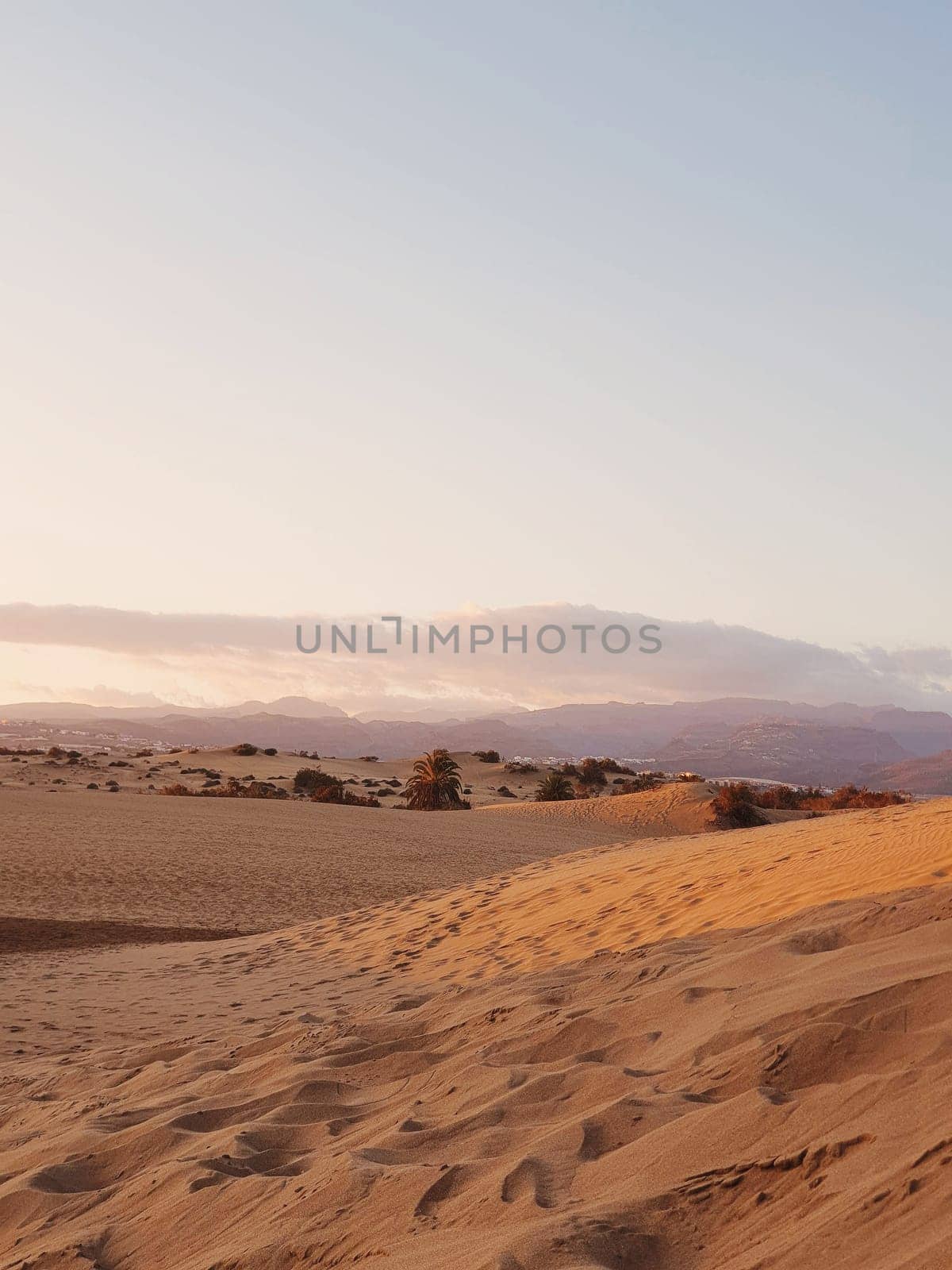 Maspalomas Dunes
