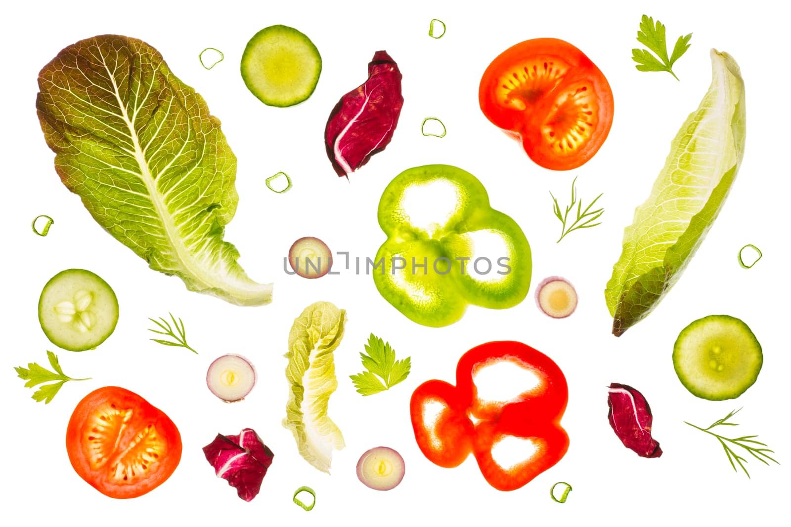 Romaine lettuce leaves, radicchio, slices of green and red peppers, tomato and red scallion slices, cucumber slices, dill and parsley backlit on a light table. Isolated on a white background.