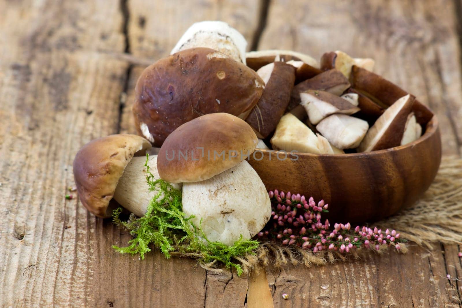fresh mushrooms (boletus) in a bowl - wooden background