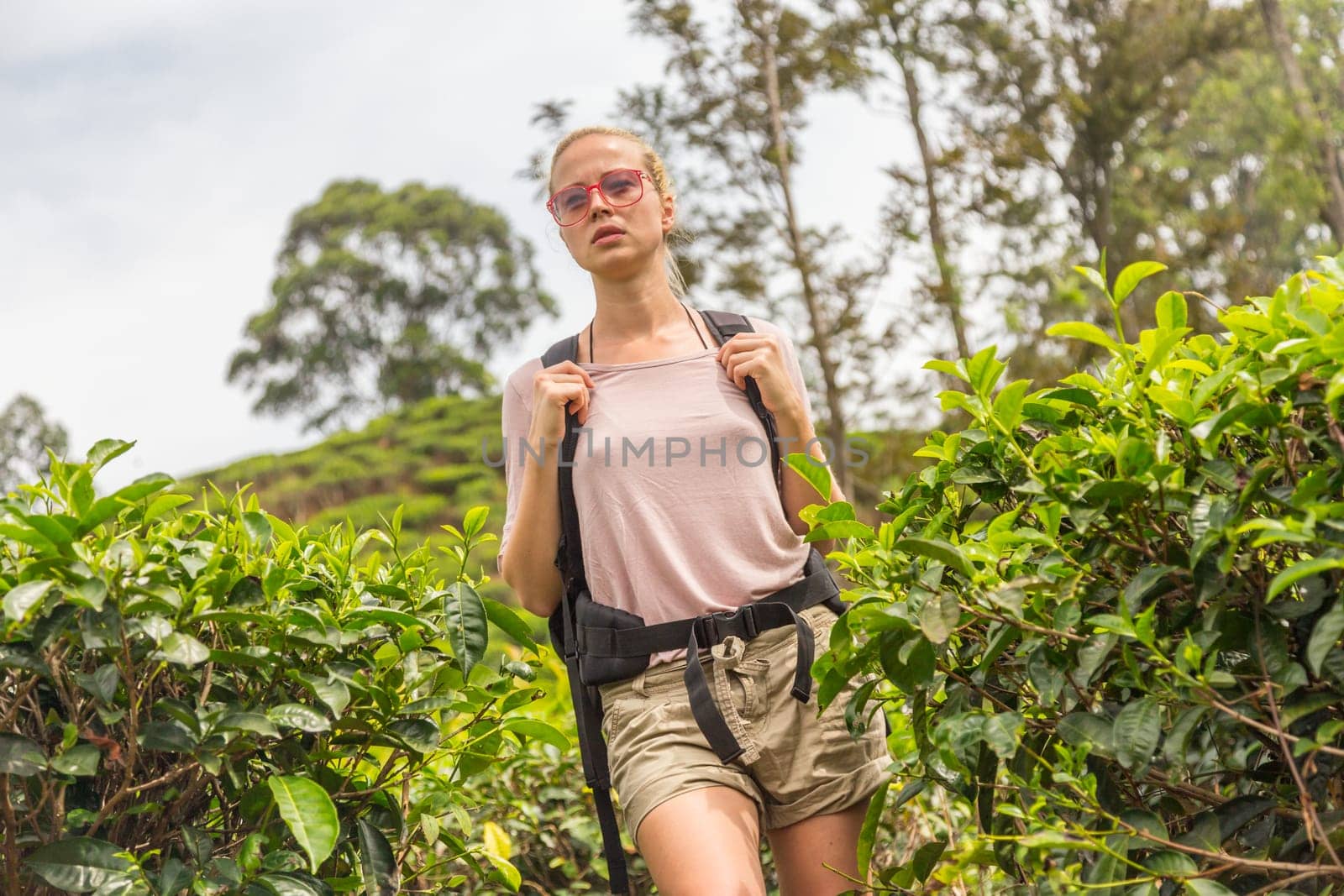 Active caucasian blonde woman enjoing fresh air and pristine nature while tracking among tea plantaitons near Ella, Sri Lanka. Bacpecking outdoors tourist adventure.