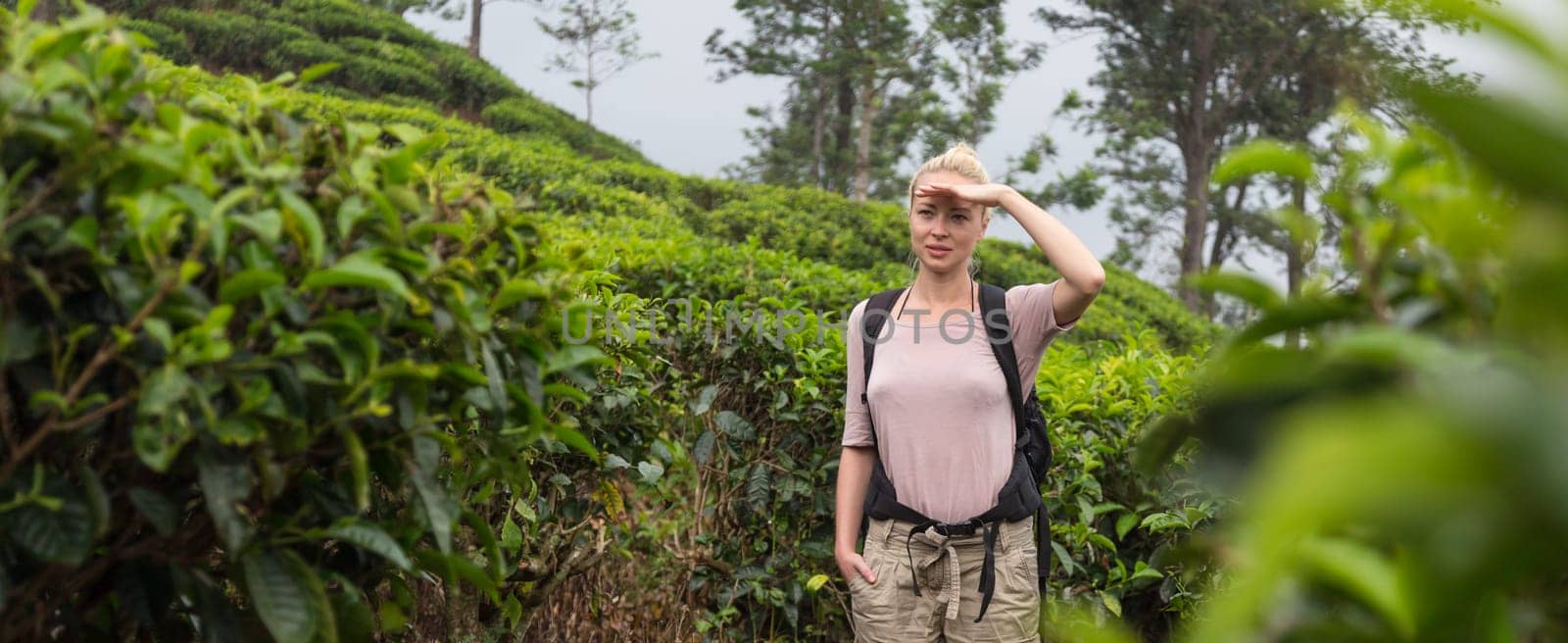 Active caucasian blonde woman enjoing fresh air and pristine nature while tracking among tea plantaitons near Ella, Sri Lanka. Bacpecking outdoors tourist adventure.