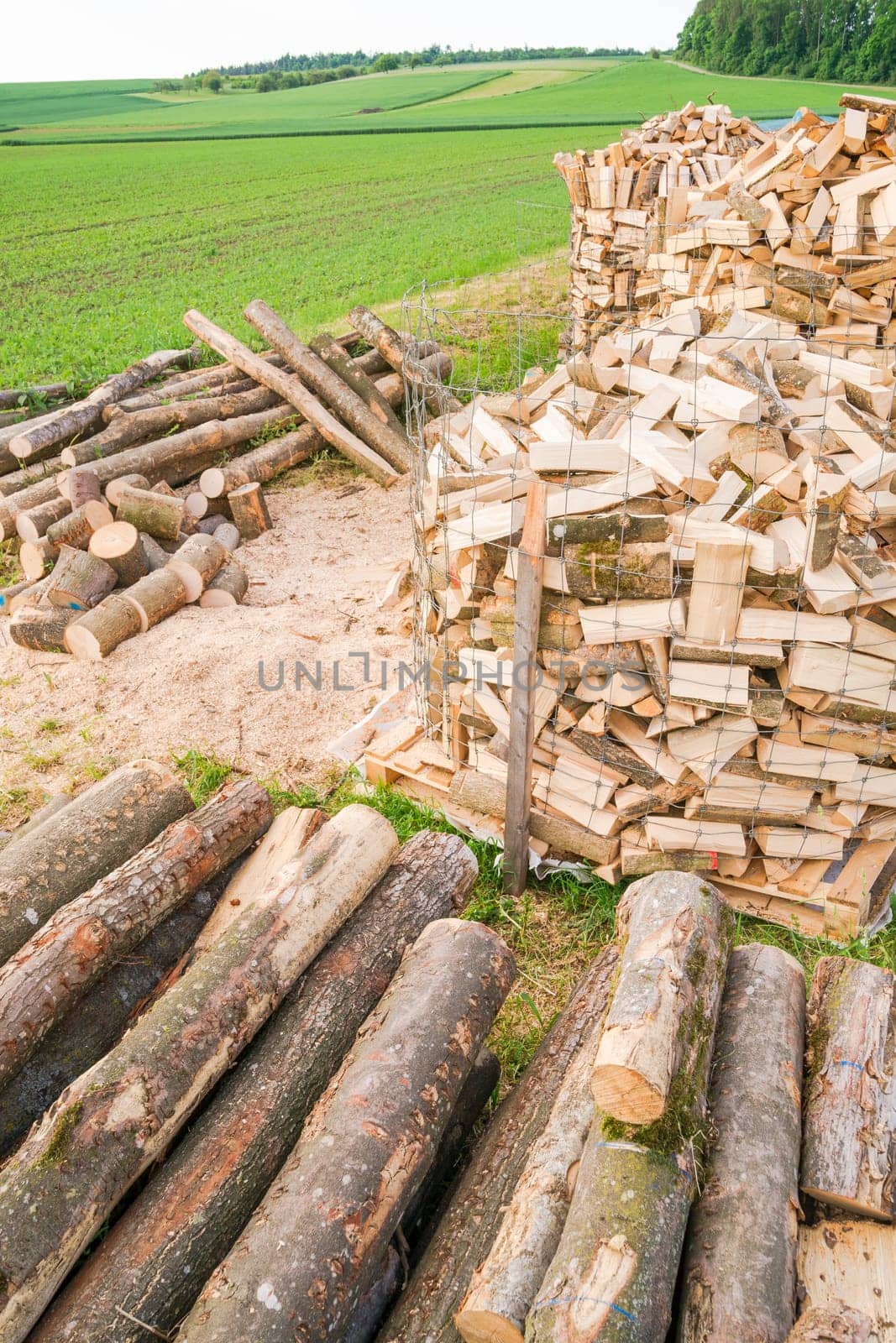 Timber logs on a lumberyard in a springtime field environment