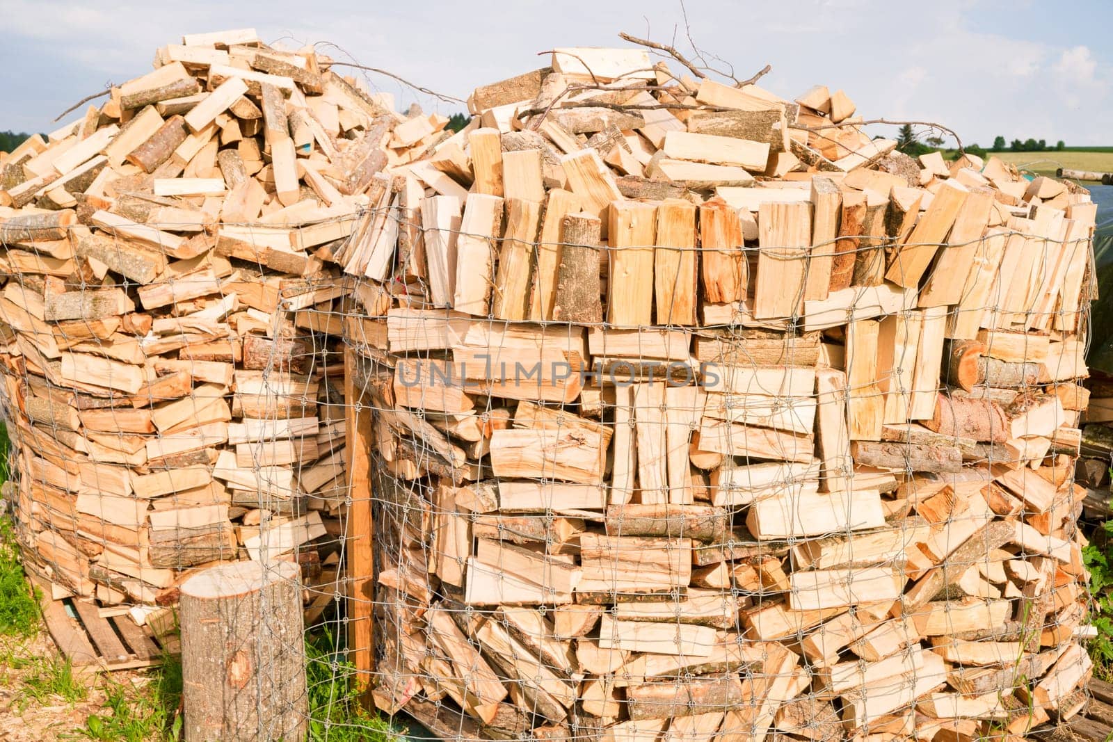 Logs in a metal grid cage on a lumber yard